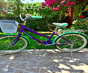 Bicicleta niña Oxford aro 20