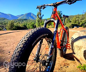 Bicicleta FatBike