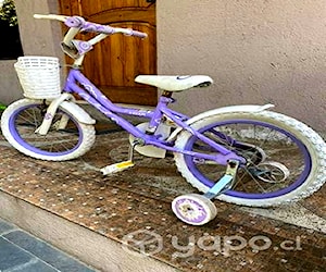 Bici niña con rueditas