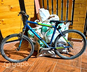 Bicicleta Trek