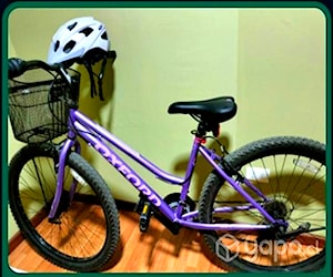 Bicicleta de dama Aro 27 Oxford