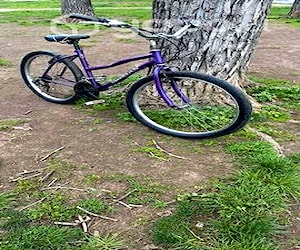 Bicicleta De paseo Vargas aro 26