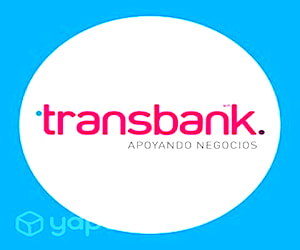 Ejecutivos transbank terreno