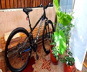 Bicicleta Oxford