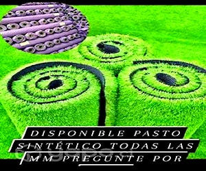 Pasto sintético