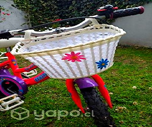 Bicicleta BIANCHI Aro 12