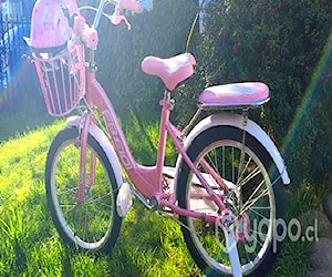 Bicicleta infantil