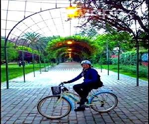 Bicicleta de paseo mujer