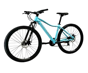 Bicicleta oxford