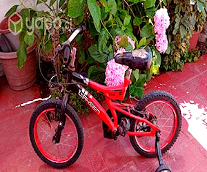 Bicicleta Niño aro 16