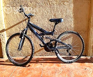 Bicicleta Next Aro 20