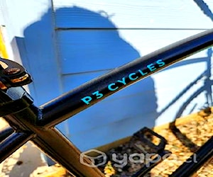 Bicicleta P3 Cycles 8 velocidades