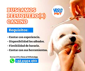 Peluquero/a Canino