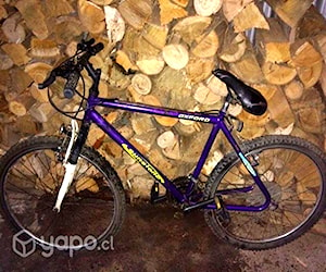 Bicicleta oxford