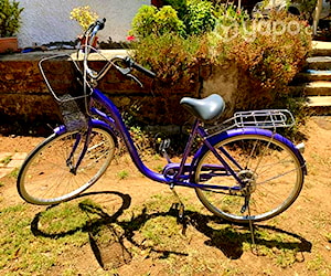 Bicicleta de paseo con canasto vintage