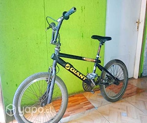 Bicicross