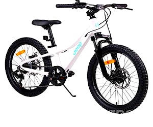 Bicicleta Aro 20