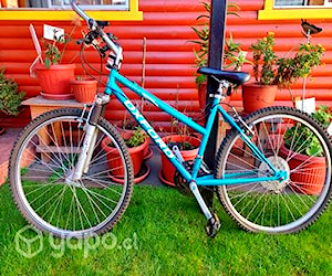 Bicicleta Oxford para dama