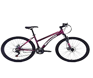 Bicicleta BIANCHI Aro 26 . CONVERSABLE