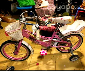 Bicicleta niña con canasto
