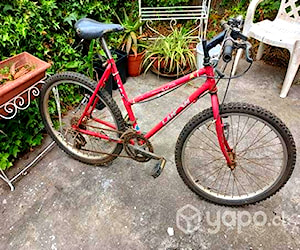 Bicicleta Lashen aro 24