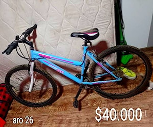 Bicicleta