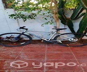 Bicicleta Oxford Cityspeed