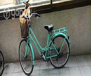 Bicicleta de paseo