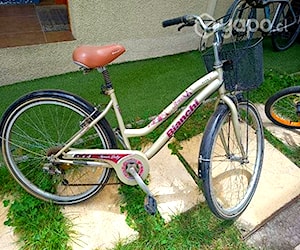 Bicicleta canasto aro 26