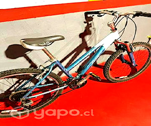 Bicicleta mujer aro 26
