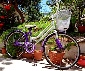 Bicicleta brabus