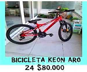 Bici niño aro 24