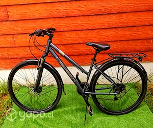 Bicicleta Lashen Aro 28