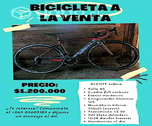 Bicicleta cuadro full carbono