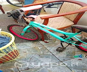 Bicicleta usada niña de 6 años