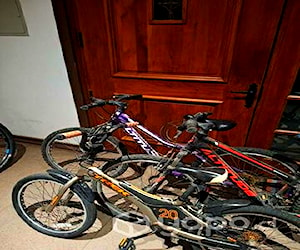 Lote de 3 bicicletas (2 Altitude y 1 Trek)