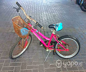 Bicicleta niña. Usada regular estado.