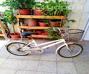 Bicicleta vintage antigua