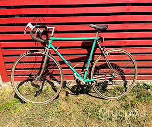 Pistera antigua Bianchi Aro 26