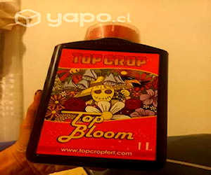 Top bloom 1litro