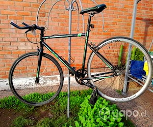 Bicicleta pistera