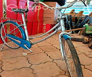 Bicicleta marukin sin cambios