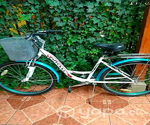 Bicicleta Cinelli Paseo Aro 26