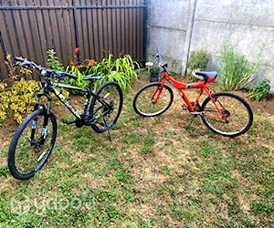 Se venden bicicletas por no uso