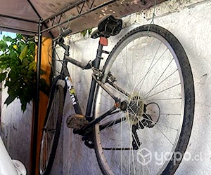 Bicicletas