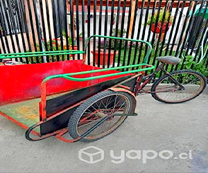 Triciclo de carga