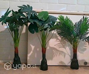 plantas artificiales nuevas ajustables