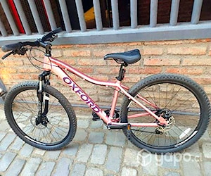 Bicicleta Venus 1 Oxford