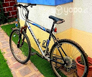 Bicicleta adulto oxford