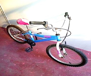 Bicicleta para niñx aro 24